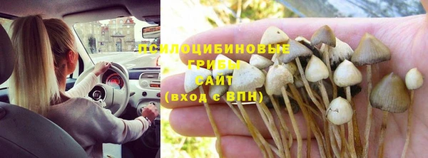 мет Майский