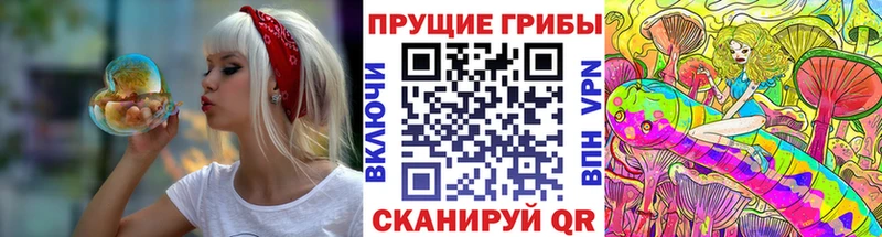 Галлюциногенные грибы Magic Shrooms  Купить где  Новочебоксарск 