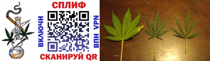 Шишки марихуана SATIVA & INDICA  Купить  Новочебоксарск